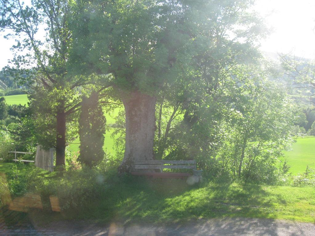 Sogn Gjestegard Svarstad  Room photo